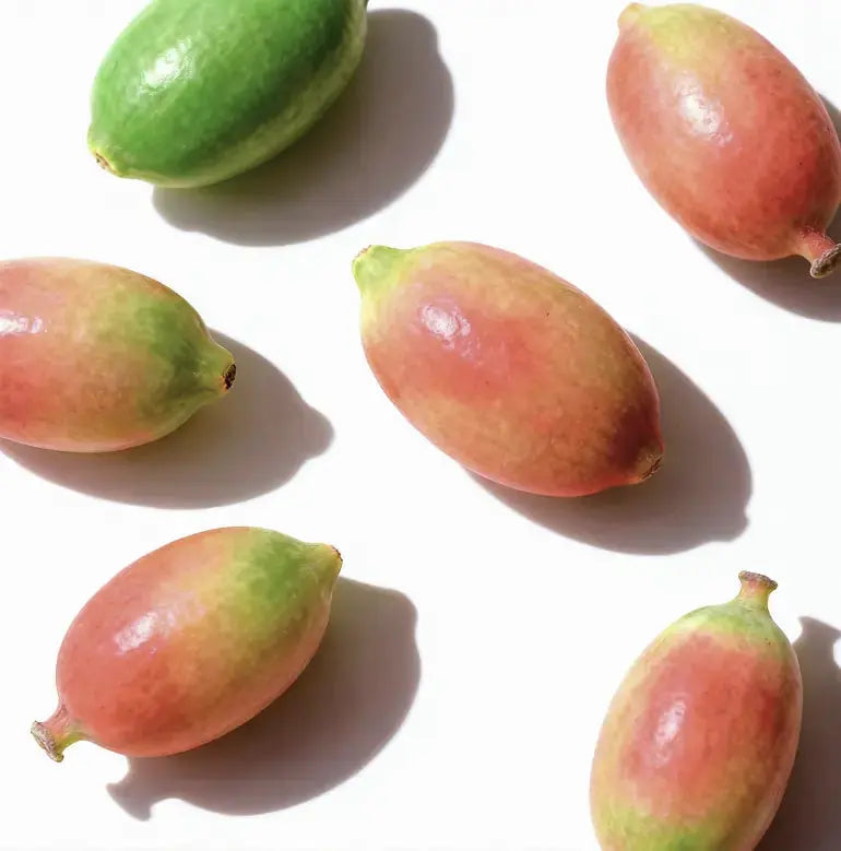 Dihydroberberine
